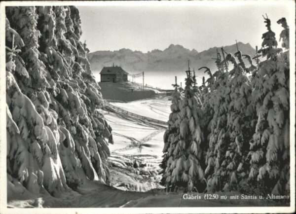 Gaebris äntis Altmann  Winter x