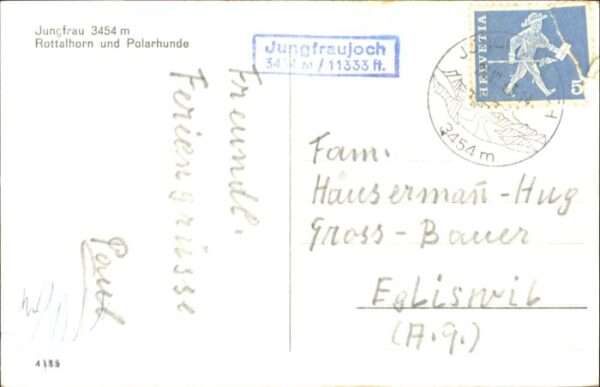 Jungfrau BE Jungfrau Rottalhorn Polarhunde – Bild 2
