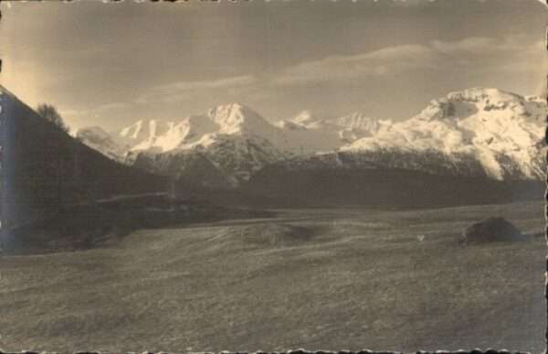 Bernina