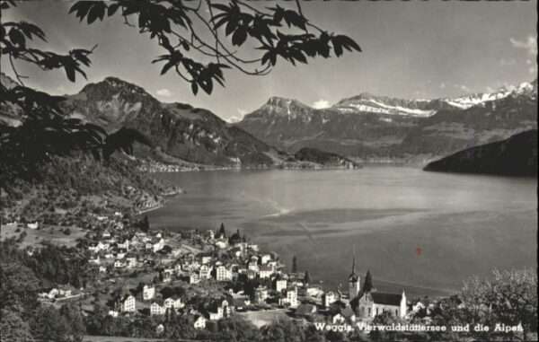 Weggis Vierwaldstaettersee Weggis