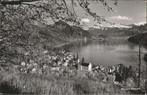 Weggis Vierwaldstaettersee Weggis