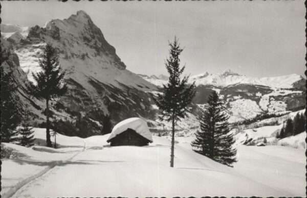 Grindelwald Eiger Männlichen