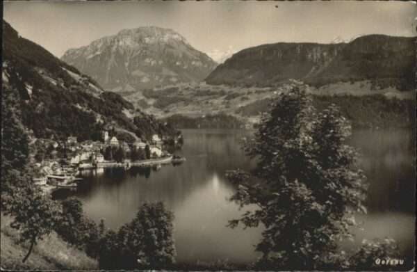 Gersau Vierwaldstaettersee Gersau