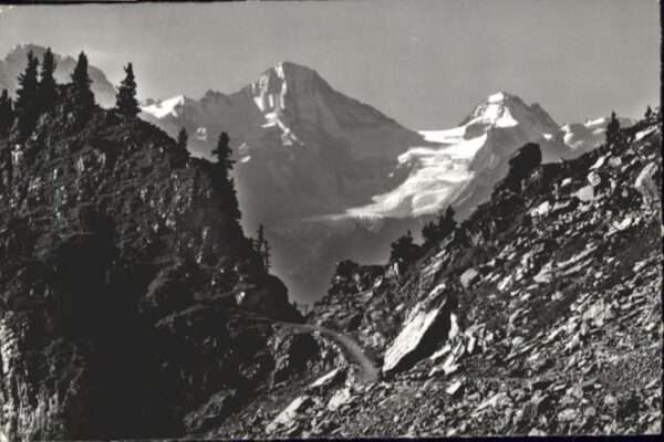 Schynige Platte