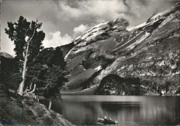 Meiringen BE Meiringen [Stempelabschlag] Engstlenalp