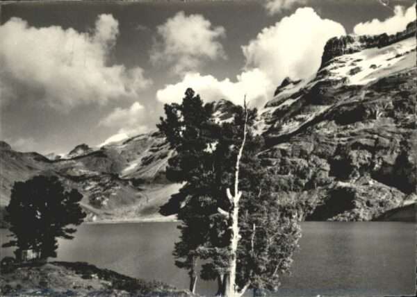 Meiringen BE Meiringen [Stempelabschlag] Engstlebsee