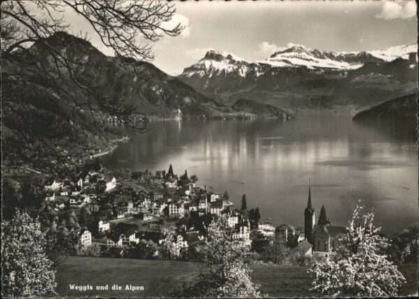 Weggis Vierwaldstaettersee Weggis