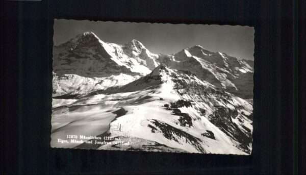 Maennlichen iger Mönch Jungfrau x
