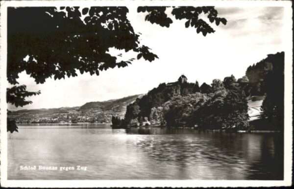 Zug ZG Zug Schloss Buonas