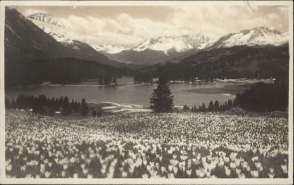 Lenzerheide GR Lenzerheide See