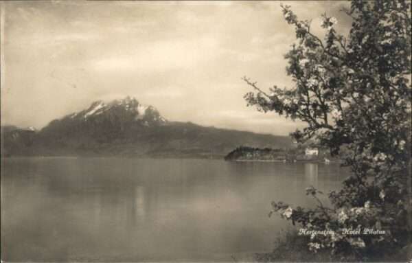 Hertenstein Hotel Pilatus