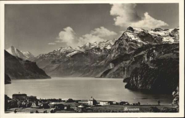 Brunnen SZ