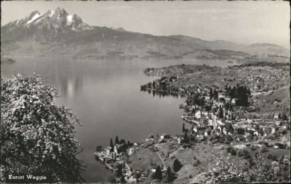 Weggis Vierwaldstaettersee Weggis Pilatus