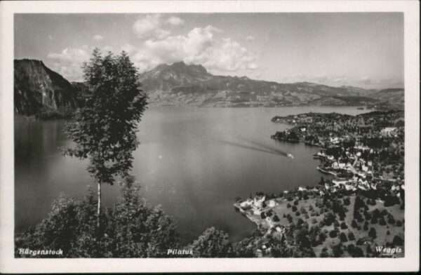 Buergenstock ilatus