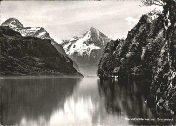 Brunnen SZ Bristenstock