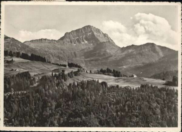 Speer Walensee
