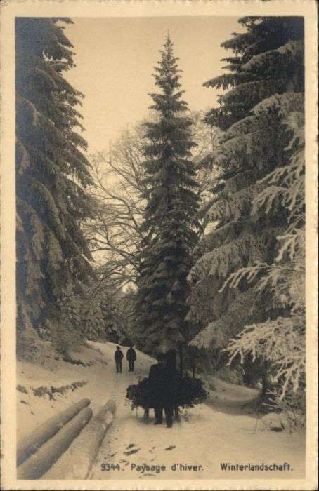 Nyon VD Nyon [Stempelabschlag] Winterlandschaft