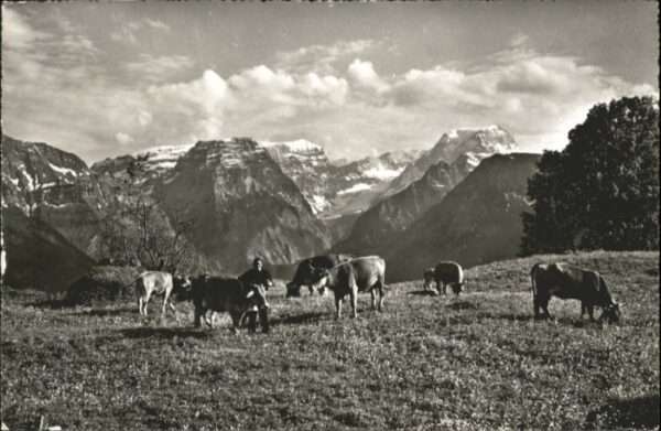 Braunwald GL Braunwald Glarus Selnsanft Bifertenstoc