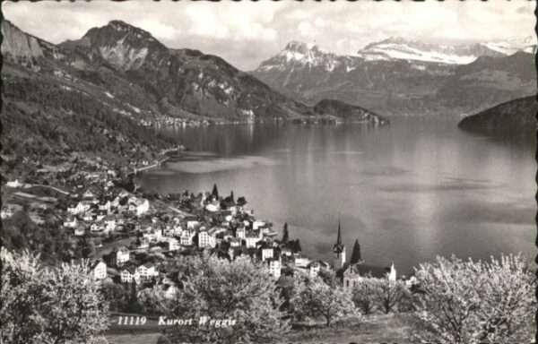 Weggis Vierwaldstaettersee Weggis
