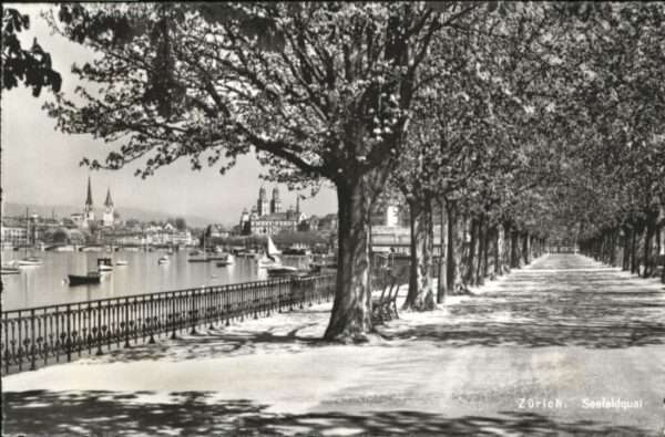 Zuerich eefeldquai Schiff