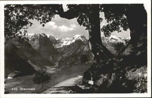 Braunwald GL Braunwald