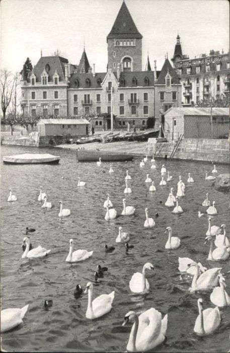 Lausanne VD Lausanne Ouchy Boot Schwan