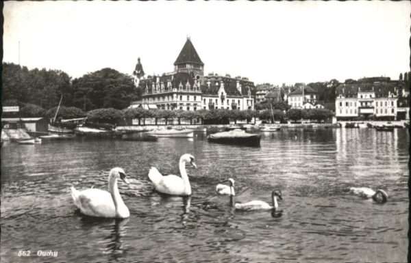 Ouchy Schwan Schiff