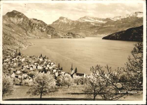 Weggis Vierwaldstaettersee Weggis