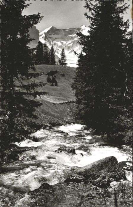 Grindelwald Firstbahn Fiescherhorn