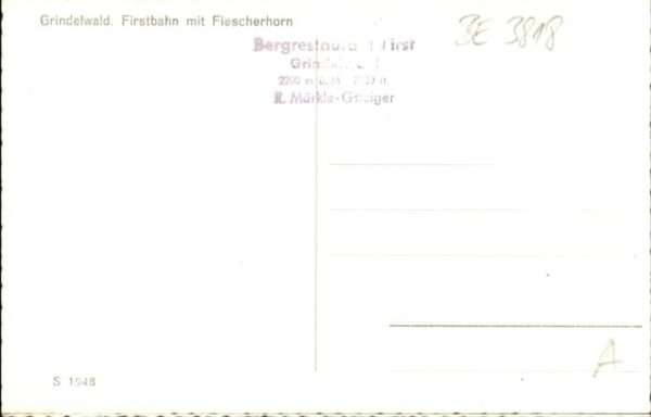 Grindelwald Firstbahn Fiescherhorn – Bild 2