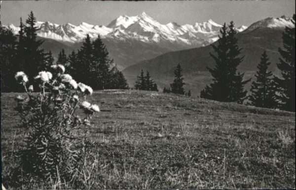 Sierre VS Sierre