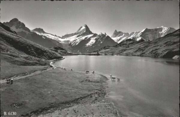 Grindelwald Bachsee Berglistock Schreckhorn Finster
