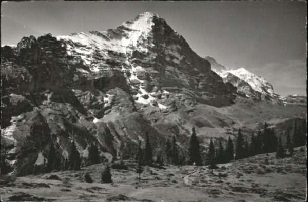Grindelwald Bussalp Eiger Jungfrau