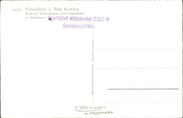 Felsenhorn Rote Kumme – Bild 2
