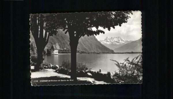 Chateau Chillon Dents du Midi