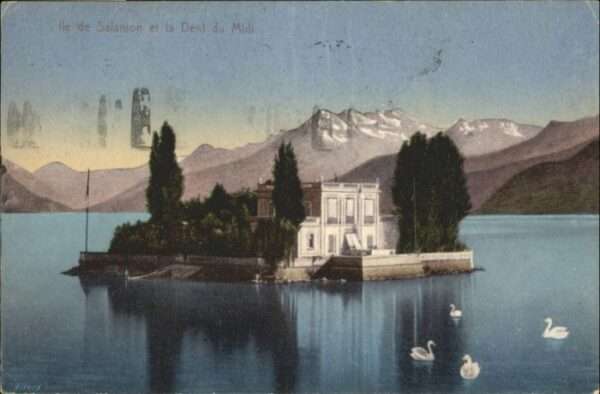 Dents du Midi Schwan