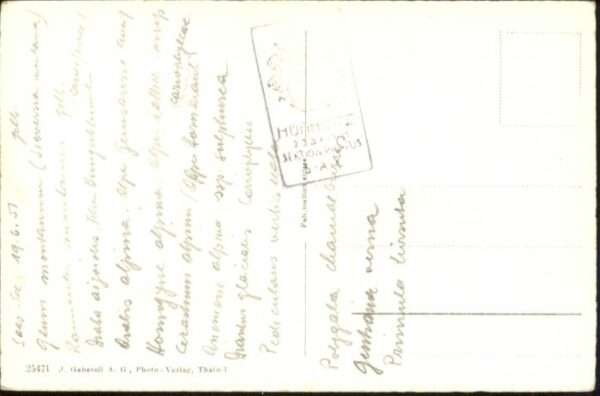 Saas-Fee [Handschriftlich] Maderanertal Oberalps – Bild 2