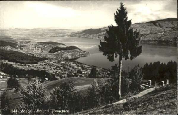 Aeschi Spiez Thunersee