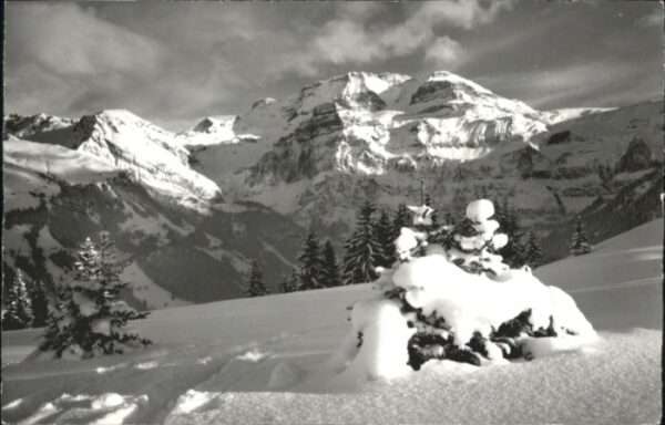 Lenk Simmental Betelberg
