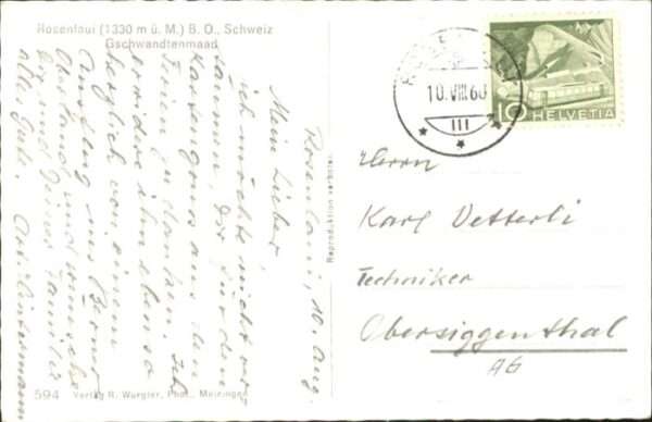 Rosenlaui Kühe – Bild 2