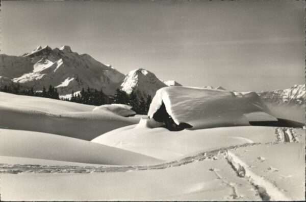 Hasliberg Hohfluh Balisalp