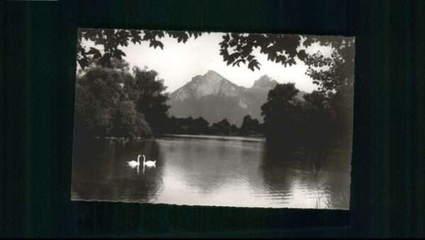 Bad Ragaz Ragatz Bad_Ragaz Schwan See