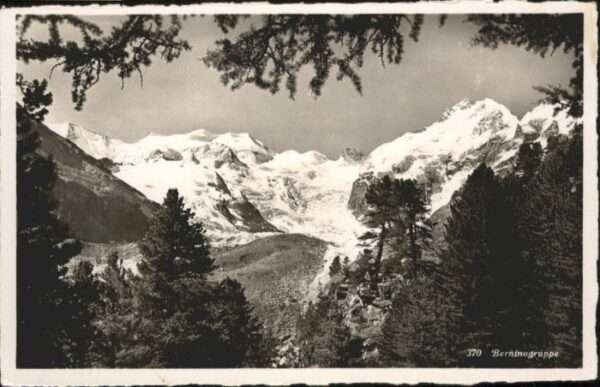 Bernina