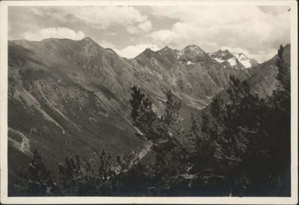 Cluozatal Murter