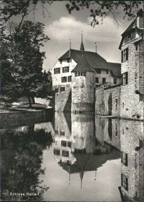 Hallwil Schloss
