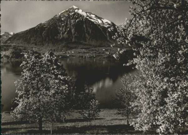 Niesen Thunersee