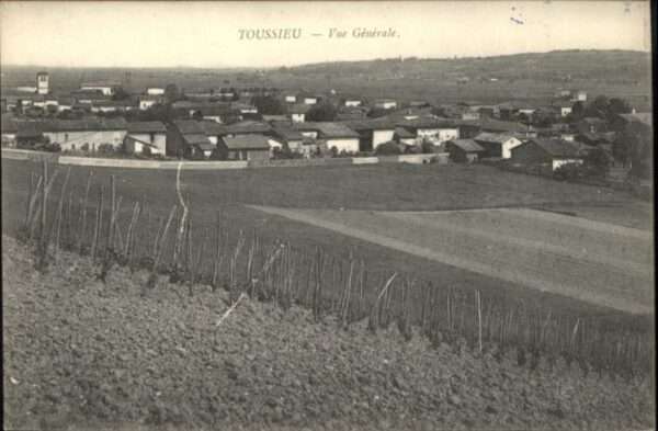 Toussieu