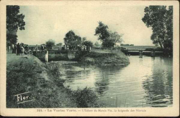 Niort 79 Niort ? Venise Verte Ecluse Marais Pin