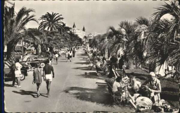 Cannes Alpes-Maritimes Cannes