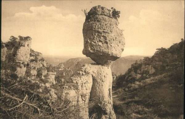 Montpellier Herault Montpellier Le Champignon